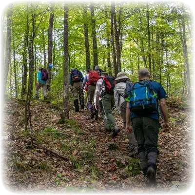 Hiking
